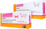  Synulox Comprimidos Palatáveis Cartela 10 comprimidos Pfizer