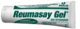  Reumasay Gel Bisnaga 100 g Indubras Indústria Veterinária