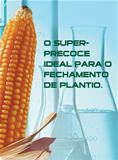 Semente de Milho AG 6020 Sementes Agroceres Semente de Milho AG 6020 Sementes Agroceres