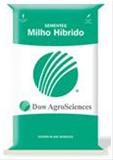  Semente de Milho 2B707  Dow AgroSciences