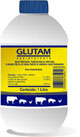  Glutam - Desinfetante Bombonas 20 litros Chemitec