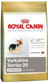  Yorkshire Terrier Junior 29  Royal Canin