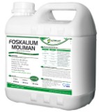  Foskalium MoliMan Galão 5 litros Nutriplant Tecnologia e Nutrição