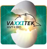  Vaxxitek HVT+IBD Ampola 4000 doses Merial