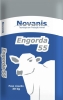  Novanis Engorda 55 Saco 30 kg Novanis