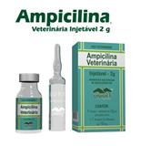  Ampicilina Veterinária Injetável 2g Frasco 2g Vetnil