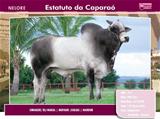 Estatuto da Caparaó Dose