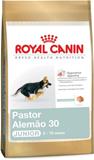  Pastor Alemão Junior 30 Embalagem 12 kg Royal Canin
