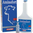 Aminofort Injetável Embalagem 250 ml
