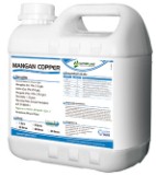  Mangan Copper Galão 30 litros Nutriplant Tecnologia e Nutrição