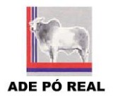  ADE Pó Real Balde 20 kg Vila Real Saúde Animal
