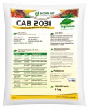 CAB 2031 Fertilizante Embalagem 2 kg Nutriplant Tecnologia e Nutrição CAB 2031 Fertilizante Embalagem 2 kg Nutriplant Tecnologia e Nutrição