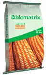  Semente de Milho BM 502  Biomatrix