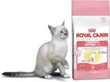Kitten 34 Royal Canin Kitten 34 Royal Canin