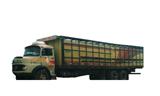  Gaiola Truck 10,50m  Pigari
