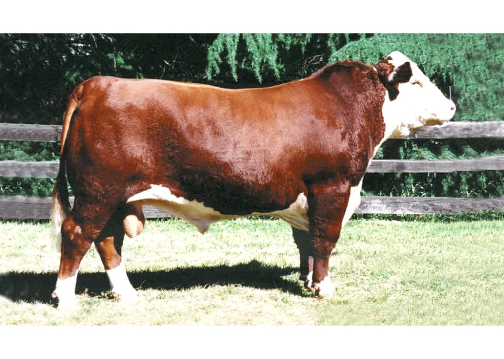 Dominante Wrangler 137 TE Dose