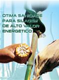 Semente de Milho AG 5011 Sementes Agroceres Semente de Milho AG 5011 Sementes Agroceres