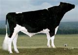 Harvue Durham RON 