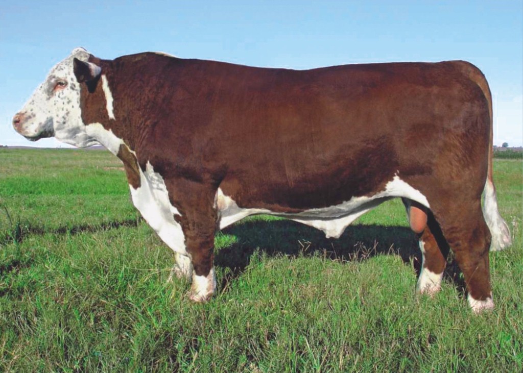 CP 756  Guatambu Dose