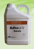  Adhevir's Batata  Adheflex