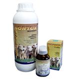  DDVP-CIS Nortox Frasco 100 ml Nortox