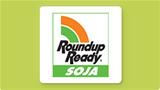  Sementes de Soja Roundup Ready  Monsanto