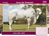Leco da Soamin 