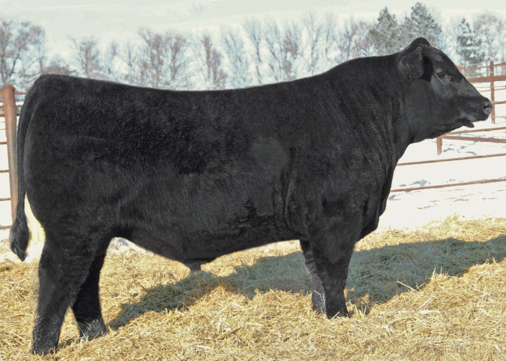 Viper   SAV Viper 0986 Dose