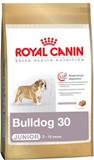  Bulldog Junior 30  Royal Canin