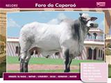 Faro da Caparaó 