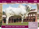 Bimaya TE Monte Verde 