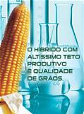  Semente de Milho AG 8060  Sementes Agroceres