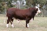 Longreach 