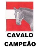  Cavalo Campeão - Suplemento Mineral Saco 20 kg Vila Real Saúde Animal