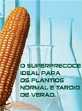  Semente de Milho AG 9040  Sementes Agroceres