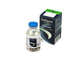 Indigest Frasco 30 ml