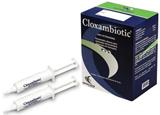  Cloxambiotic Caixa 12 seringas 10 ml Hertape Calier