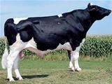 Clinita Zack Frederick-ET *TV VG-87 