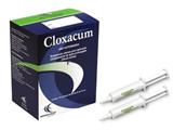  Cloxacum Caixa 12 seringas 10 ml Hertape Calier
