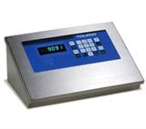 Terminal de Pesagem com Conexão Ethernet 9091 Web 