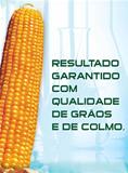  Semente de Milho AG 2020  Sementes Agroceres