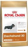  Dachshund Junior 30  Royal Canin