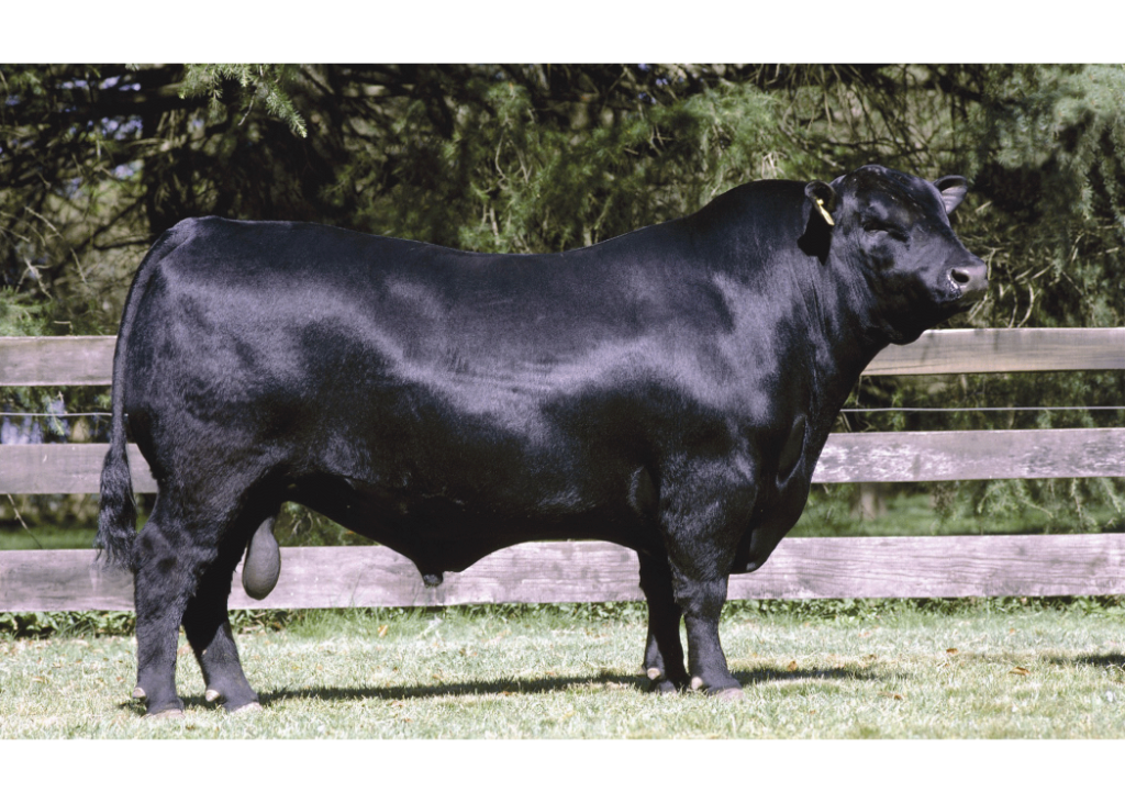 Tambor  Moon 16800 LT Tambor  Dose