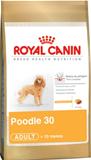  Poodle Adult 30  Royal Canin