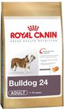  Bulldog Adult 24 Saco 12 kg Royal Canin