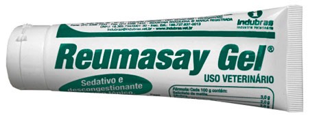 Reumasay Gel Bisnaga 80 g