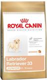  Labrador Retriever Junior 33 Embalagem 12 kg Royal Canin