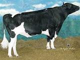 Penn-England Garrison-ET VG 85 