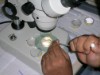 FIV - Fecundação In-vitro, Produção de Embriões