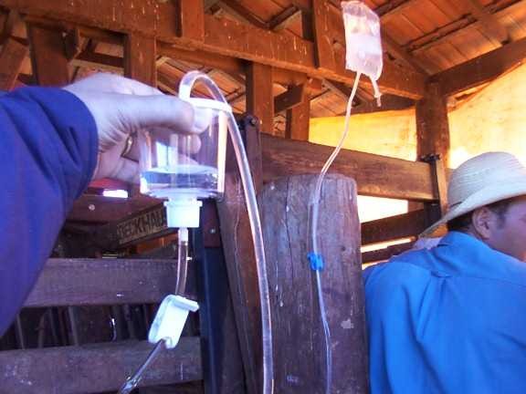 TE - Transferência de Embriões, Produção de Embriões 